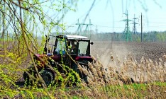 Минагропрод ожидает сокращения посевов озимых