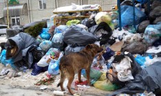 Мэр Львова просит объявить в городе чрезвычайное положение