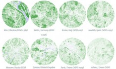Киев признали «самым зеленым» мегаполисом Европы