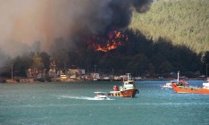 В Турции потушили все лесные пожары